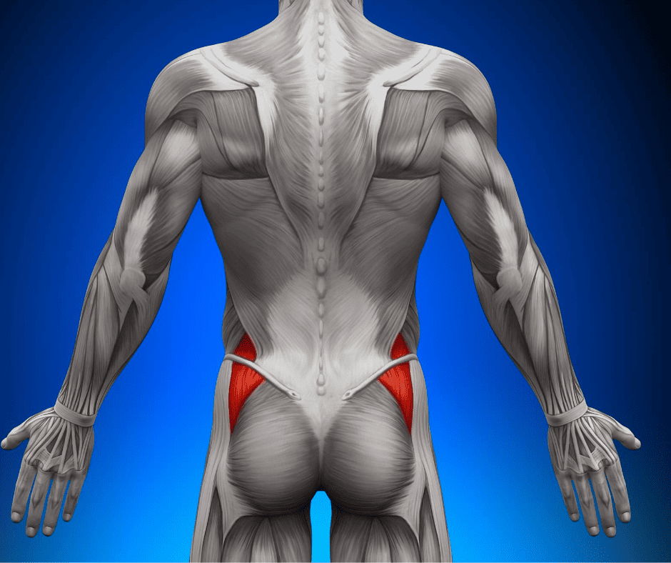 Best exercises for gluteus medius